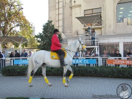 Mil Guineas 2019