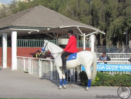 Dos Mil Guineas 2019