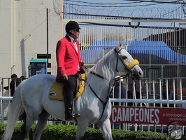 Sábado de Campeones 2019