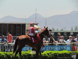 Alberto Solari Magnasco 2019