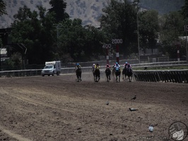 St.Leger 2019