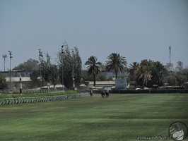 Las Oaks 2019